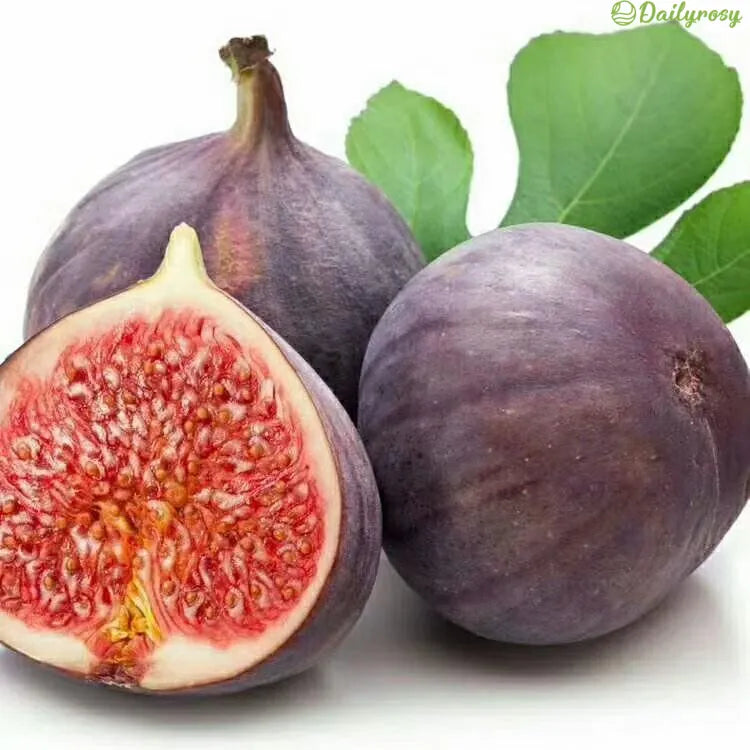 🍑Super gigantyczne nasiona figowca – słodycz brzoskwini w każdym kęsie! 🌟