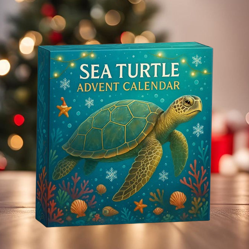 🌊🐢 Kalendarz adwentowy z żółwiem morskim 2025