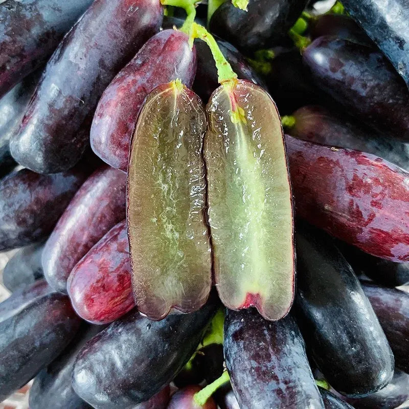 🔥 OSTATNI DZIEŃ PROMOCJI - 30% ZNIŻKI 💜 Winogrona Sweet Sapphire (rzadkie winogrona palczaste) 🍇