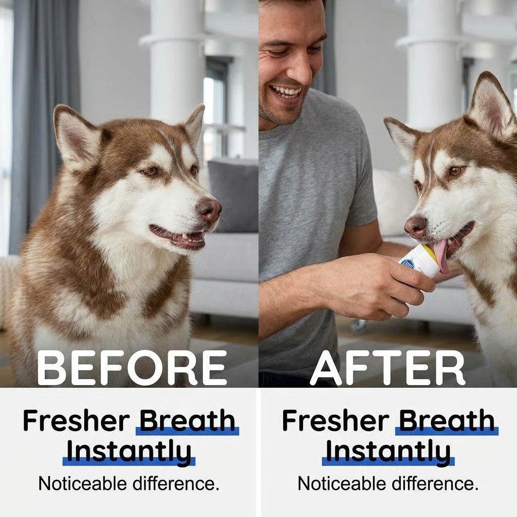 Ostatni dzień 50% zniżki🔥Żel dentystyczny dla psów bez szczotkowania
