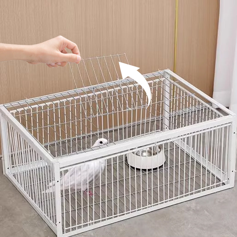 🌾Nowości 2024🐦Klatka dla ptaków AutoTrap – tylko wejście, bez wyjścia, z podstawą