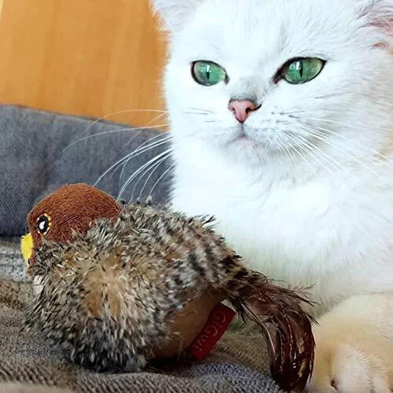 🐱 ZAKTUALIZOWANA ZABAWKA DLA KOTA POLICZKUJĄCEGO🐦