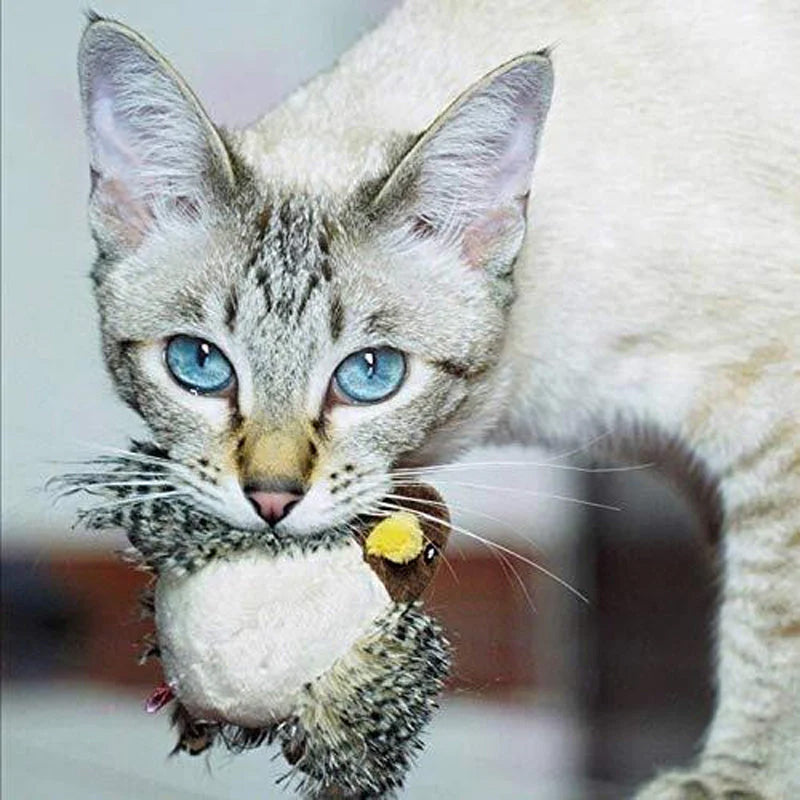 🐱 ZAKTUALIZOWANA ZABAWKA DLA KOTA POLICZKUJĄCEGO🐦